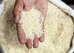 مرغوبیت برنج طارم
